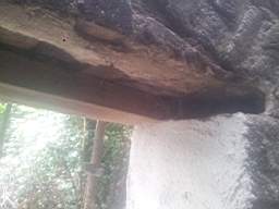 castlepark gate - 15965.jpg